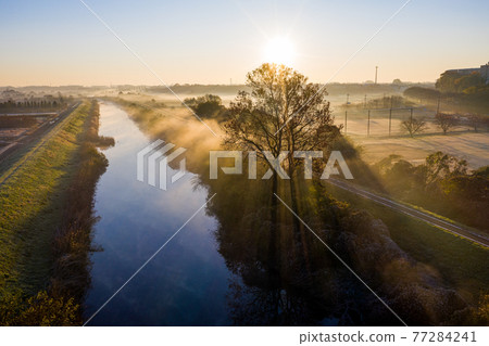 "Saitama Prefecture" Minuma rice field morning mist scenery "Saitama Prefecture" Minuma rice field morning mist scenery 77284241