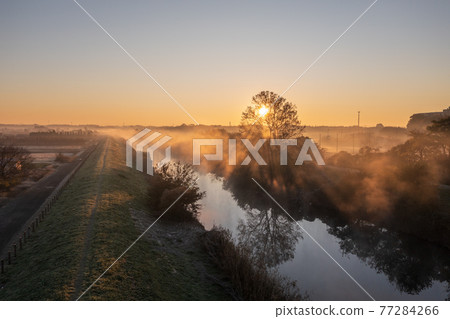 "Saitama Prefecture" Minuma rice field morning mist scenery "Saitama Prefecture" Minuma rice field morning mist scenery 77284266