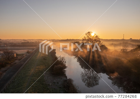 "Saitama Prefecture" Minuma rice field morning mist scenery 77284268