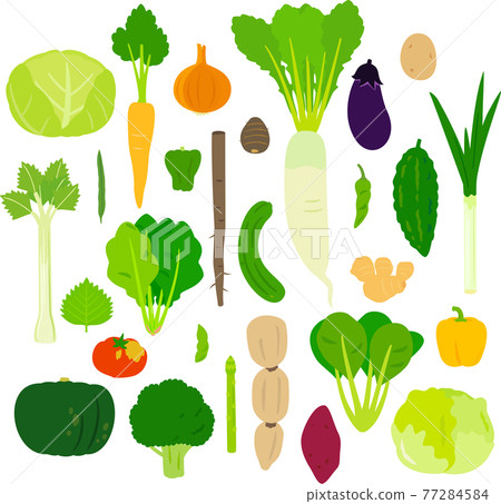 各種蔬菜的插圖集 77284584