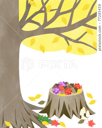 Autumn of harvest. (Autumn image) 77285459