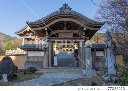 信濃Hiei 信濃Hiei 77286023