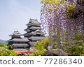 Wisteria flowers of Matsumoto Castle, a national treasure 77286340