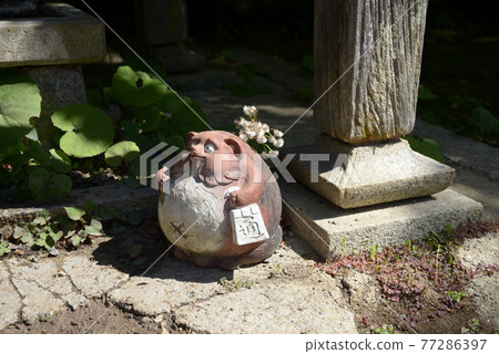 京都市大原野長津屋貉新綠金藏寺 京都市大原野長津屋貉新綠金藏寺 77286397