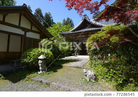 Fresh green Kinzoji Kuri, Oharano, Kyoto City Fresh green Kinzoji Kuri, Oharano, Kyoto City 77286545