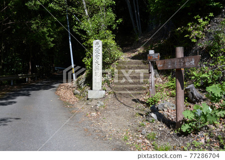 新鮮的綠色金藏寺，通往京都市大原野的路標 77286704