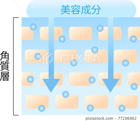 Cross-sectional view of highly penetrating skin 77286862