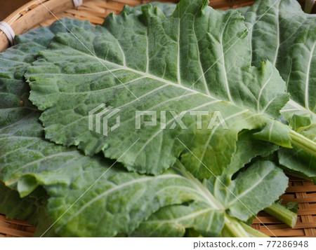 Fresh Organic Leafy Kale 77286948