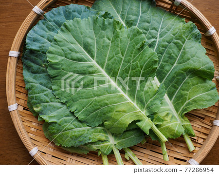 Fresh Organic Leafy Kale Fresh Organic Leafy Kale 77286954
