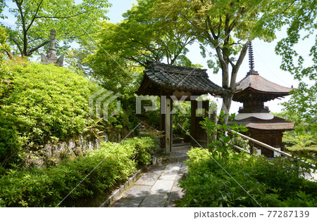 Fresh green Zenmineji Temple, Keishōin Mausoleum entrance gate and Tahoto, Nishikyo-ku, Kyoto Fresh green Zenmineji Temple, Keishōin Mausoleum entrance gate and Tahoto, Nishikyo-ku, Kyoto 77287139
