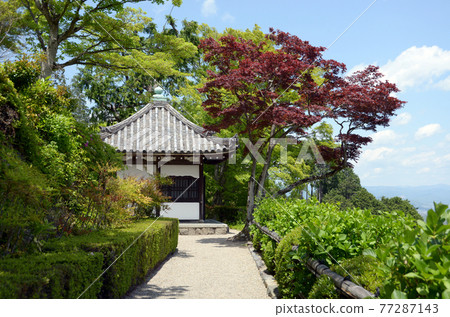 京都市西京區新綠吉峰寺海山道 京都市西京區新綠吉峰寺海山道 77287143