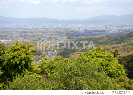 新鮮的綠色吉峰寺，從京都西京區的區域遠眺城市 77287144