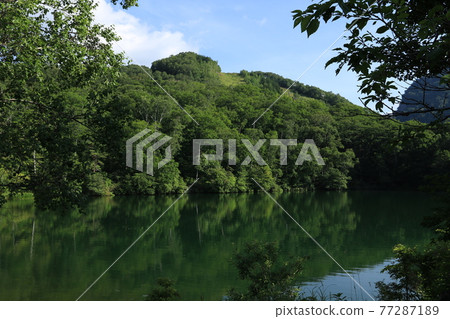 志賀高原的Maruike 77287189