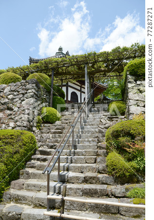 Fresh green Zenmineji Temple, Yuryu pine and stone steps, Nishikyo-ku, Kyoto Fresh green Zenmineji Temple, Yuryu pine and stone steps, Nishikyo-ku, Kyoto 77287271