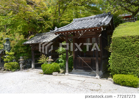 Fresh green Yoshiminedera Temple, Akai and ticket office, Nishikyo-ku, Kyoto 77287273