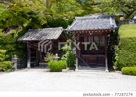 Fresh green Yoshiminedera Temple, Akai and ticket office, Nishikyo-ku, Kyoto Fresh green Yoshiminedera Temple, Akai and ticket office, Nishikyo-ku, Kyoto 77287274