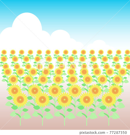 Sunflower landscape - Stock Illustration [77287350] - PIXTA