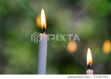 新鮮的綠色 Yoshiminedera 奉獻蠟燭，京都西京區 77287701