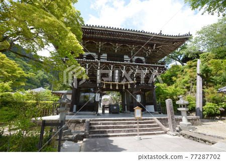 京都西京區鮮綠色吉峰羅門 77287702