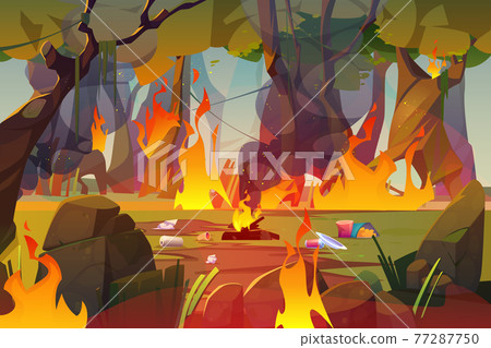 Fire in forest, polluted wood with raging flames Fire in forest, polluted wood with raging flames 77287750