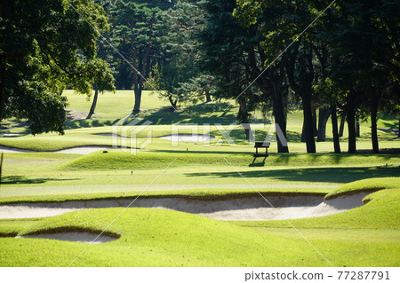 A series of bunkers at Koganei Country Club A series of bunkers at Koganei Country Club 77287791