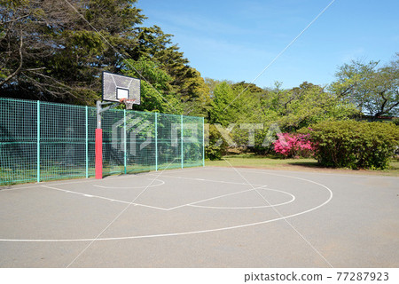 新鮮的綠色和杜鵑花盛開,千葉縣船橋市,運動公園,籃球場 新鮮的綠色和杜鵑花盛開,千葉縣船橋市,運動公園,籃球場 77287923