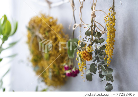 Mimosa wreath and dried flowers 77288409