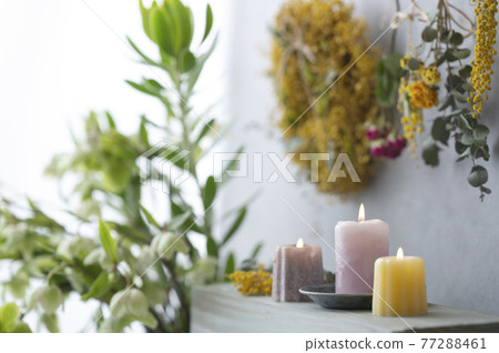 Christmas roses and candles dried flowers Christmas roses and candles dried flowers 77288461