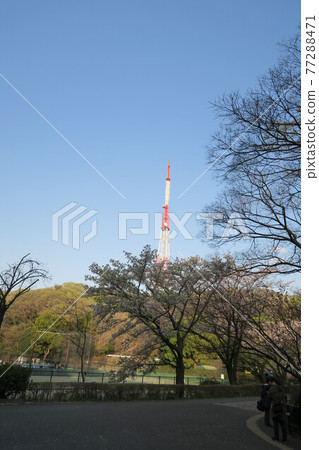 Scenery of Mitsuike Park in Tsurumi Ward, Yokohama City, Kanagawa Prefecture 77288471