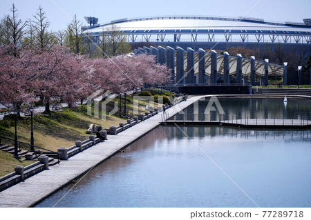 Hard Off Stadium Niigata Hard Off Stadium Niigata 77289718