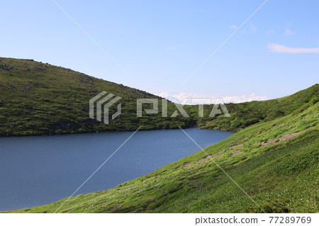 Hakuba-ooi Hakuba-ooi 77289769