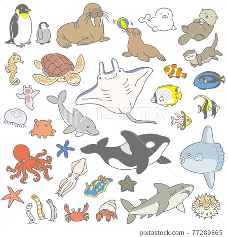 海洋生物插圖集 77289865
