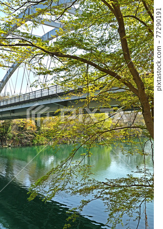 秩父步行:新寄居橋 秩父步行:新寄居橋 77290191