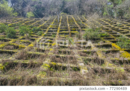 Concrete to prevent landslides Concrete to prevent landslides 77290489