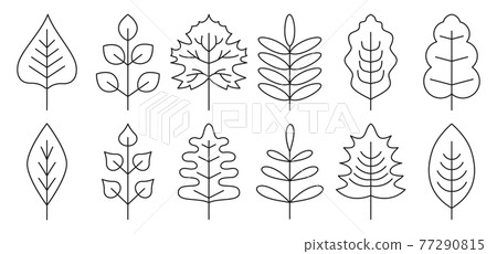 Vector set of black line autumn leaves isolated 77290815