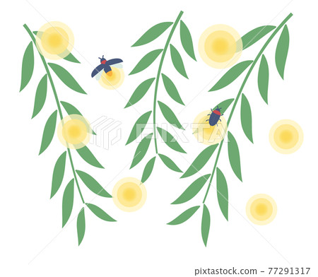 Light of firefly on willow 77291317