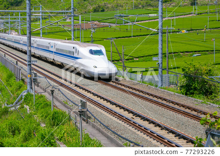 Tokaido Shinkansen, Kikugawa, Shizuoka Prefecture 77293226