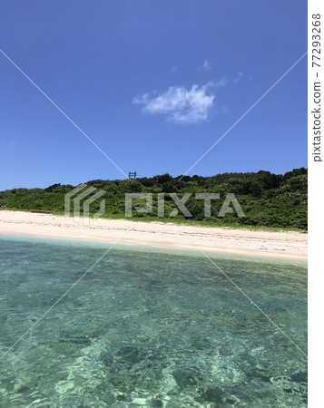 從水面看到的沖繩偏遠島嶼的海 從水面看到的沖繩偏遠島嶼的海 77293268