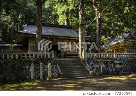 若鳥縣屋津町若狹町若狹神社海天 若鳥縣屋津町若狹町若狹神社海天 77293545