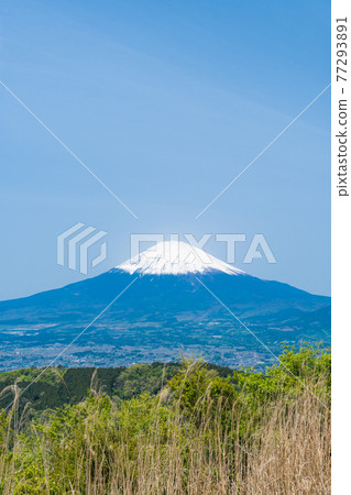 從矢樂岳(箱根)山頂眺望富士山 從矢樂岳(箱根)山頂眺望富士山 77293891