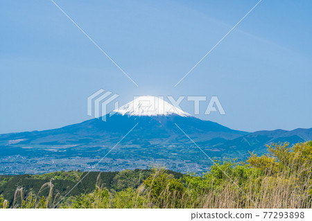 從矢樂岳(箱根)山頂眺望富士山 從矢樂岳(箱根)山頂眺望富士山 77293898