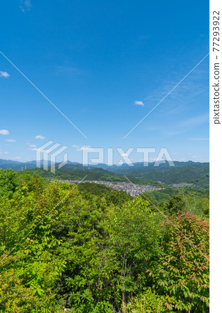 View from the summit of Taminenushiyama (Chichibu area, Mt. Buko in the distant view) 77293922