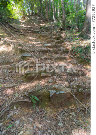 Chain for children in Taminenushiyama (Oku Musashi Nature Park) 77293927