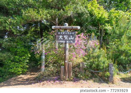 The summit of Mt. Tenran (Oku Musashi Nature Park) The summit of Mt. Tenran (Oku Musashi Nature Park) 77293929