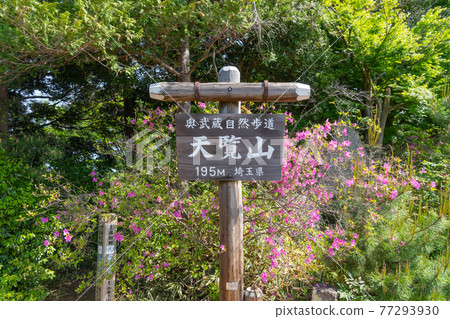 The summit of Mt. Tenran (Oku Musashi Nature Park) The summit of Mt. Tenran (Oku Musashi Nature Park) 77293930
