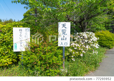 天亂山登山口(奧武藏自然公園) 天亂山登山口(奧武藏自然公園) 77293952
