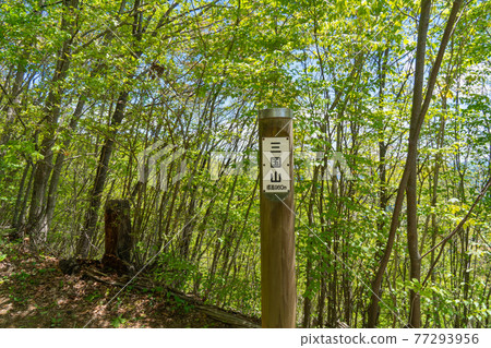 三國山頂（伊藤山徒步路線） 77293956