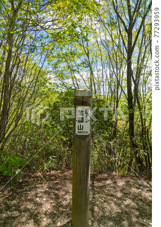 伊藤山峰會（伊藤山徒步路線） 77293959