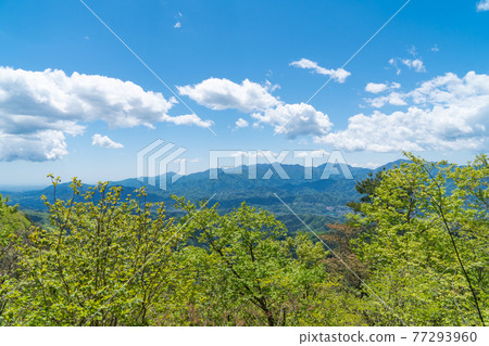 從Kayamaru山頂看到的風景（伊藤山遠足路線） 77293960