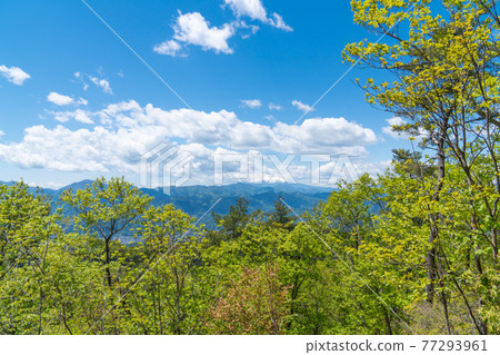 從Kayamaru山頂看到的富士山（伊藤山遠足路線） 77293961